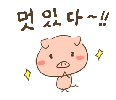 ぶたさんと韓国語21 멋있다 モシッタ Honey Bunny Canaの韓国ブログ