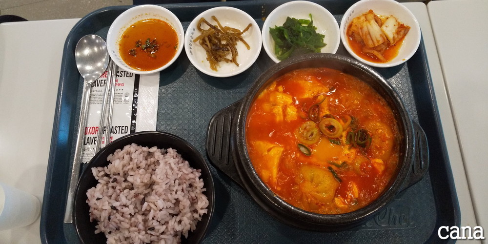 2019旦那韓国(32).jpg