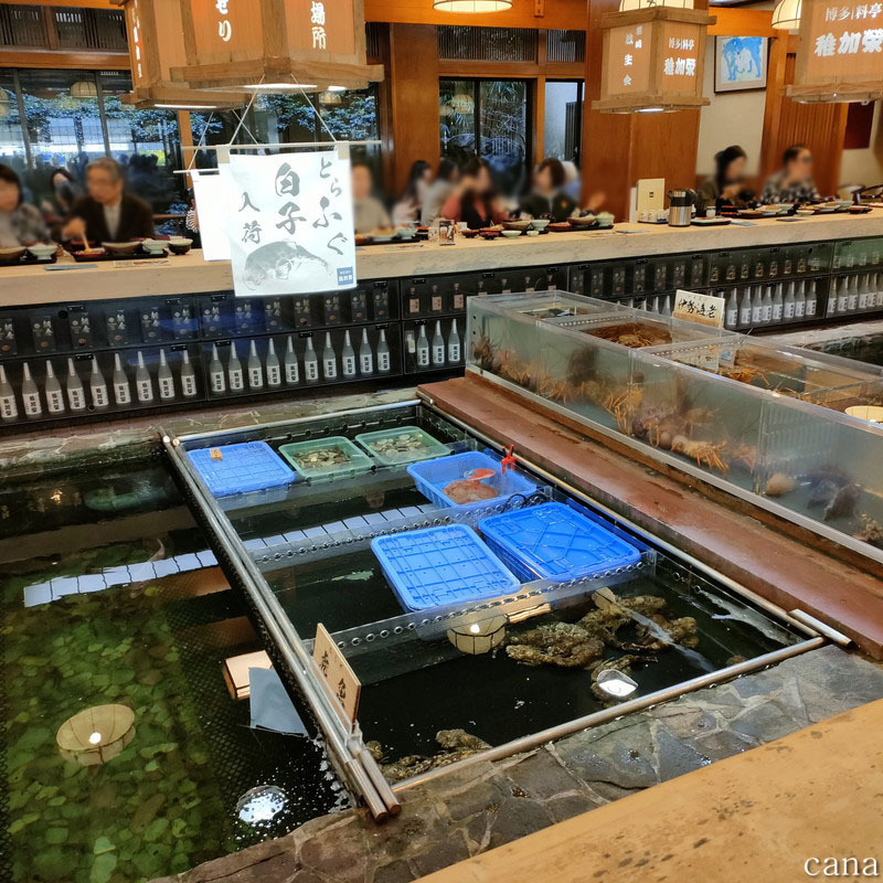 202503福岡(56).jpg