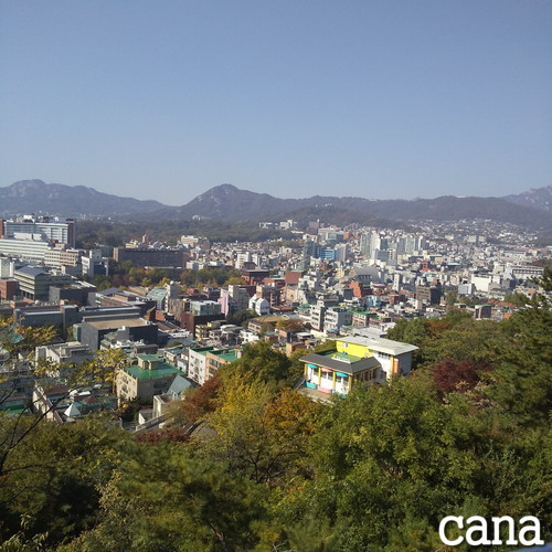 4級文化授業3(7).jpg