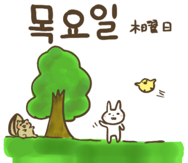 17年11月 Honey Bunny Canaの韓国ブログ