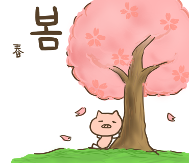 ぶたさんと韓国語419 봄 ポム Honey Bunny Canaの韓国ブログ