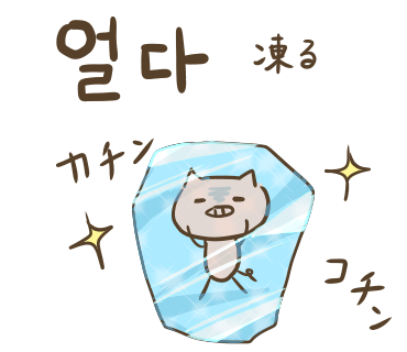 ぶたさんと韓国語542 얼다 オルタ Honey Bunny Canaの韓国ブログ