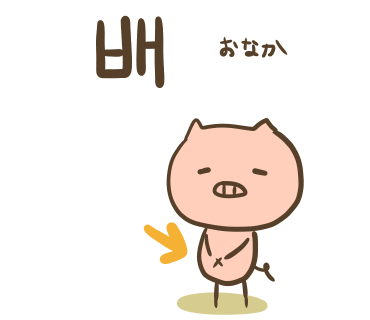 ぶたさんと韓国語591 배 ペ Honey Bunny Canaの韓国ブログ