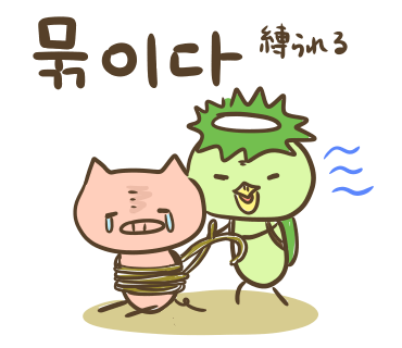 ぶたさんと韓国語705 묶이다 ムッキダ Honey Bunny Canaの韓国ブログ