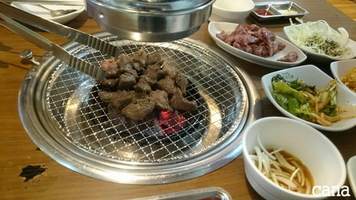 ウネコン武道館2 (18).jpg