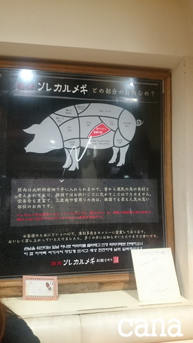 ウネコン武道館2 (5).jpg