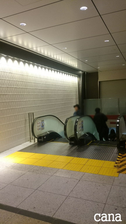 ウネコン武道館3 (12).jpg