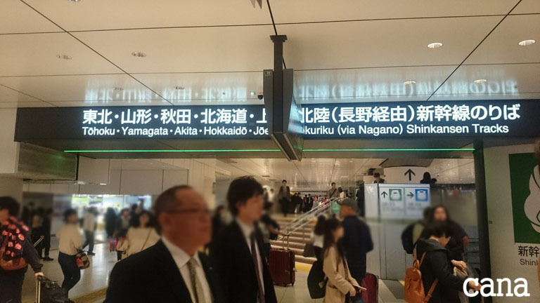 ウネコン武道館3 (8).jpg