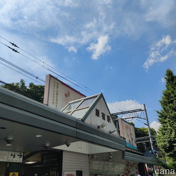 代々木(15).jpg