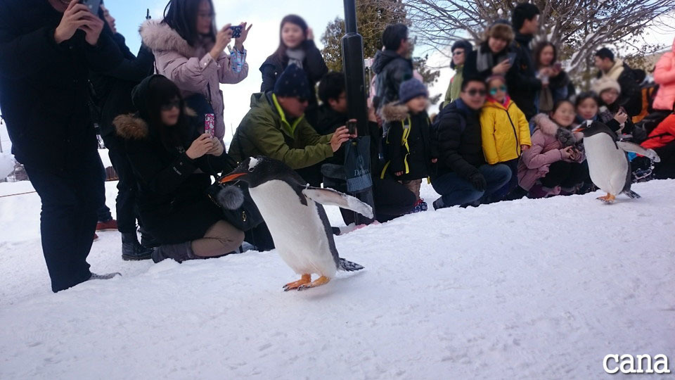 北海道2日目(3).jpg