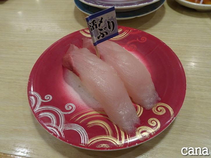 北海道3日目(98).jpg
