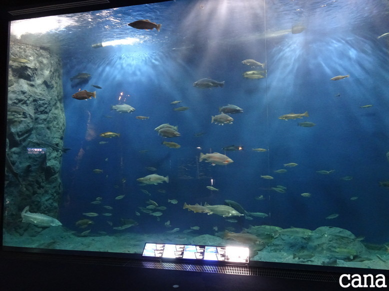 北海道旅行1日目(44).jpg
