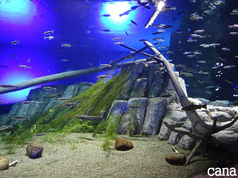 北海道旅行1日目(45).jpg