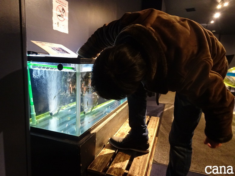北海道旅行1日目(46).jpg