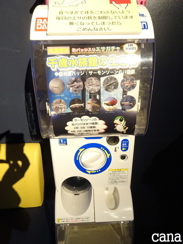 北海道旅行1日目(47).jpg