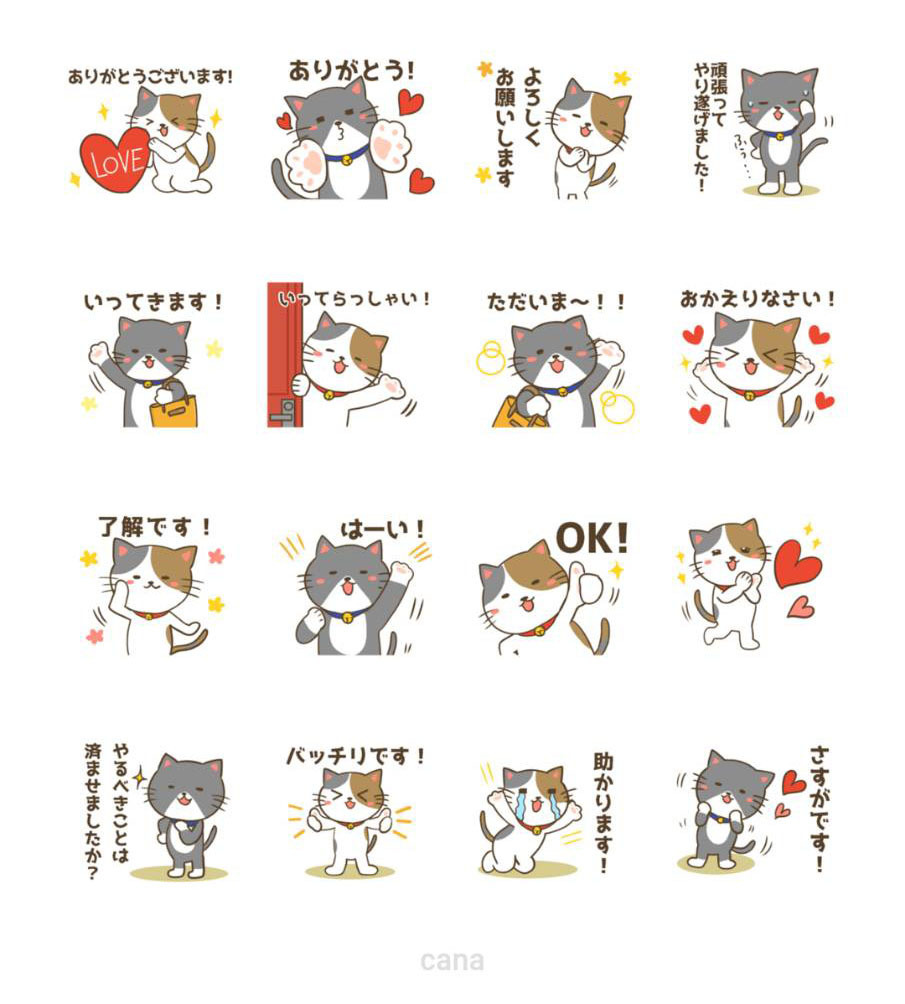 家事猫(3).jpg