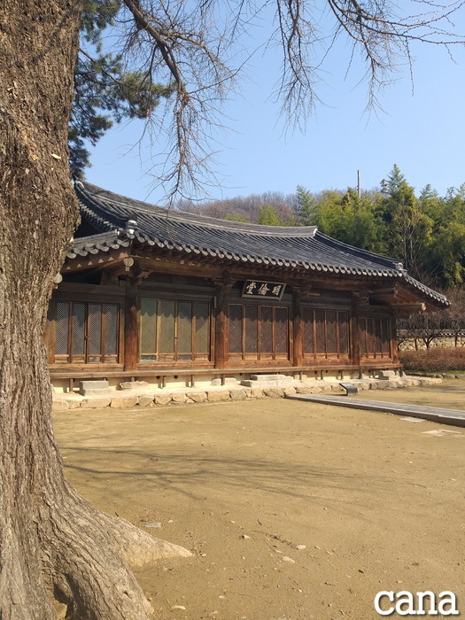 撮影地(12).jpg