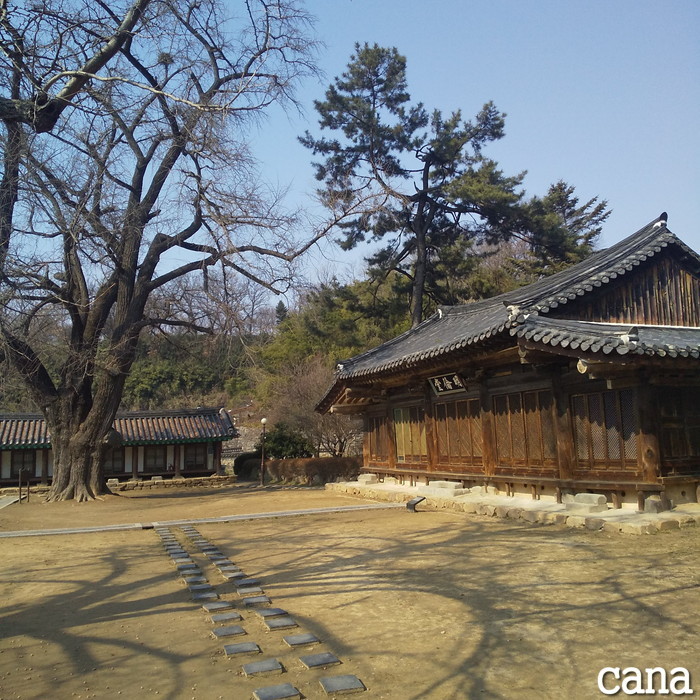 撮影地(14).jpg