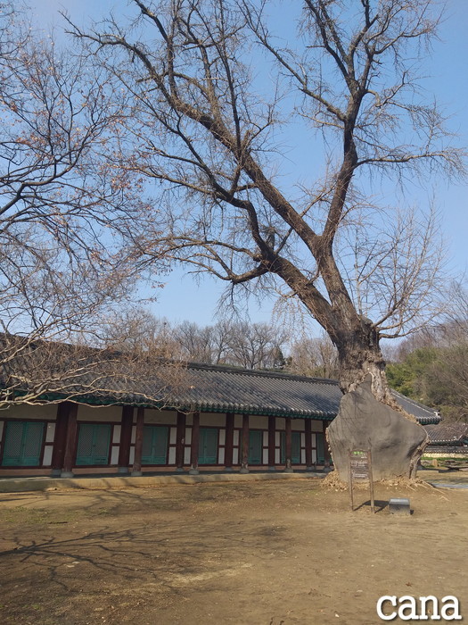 撮影地(19).jpg