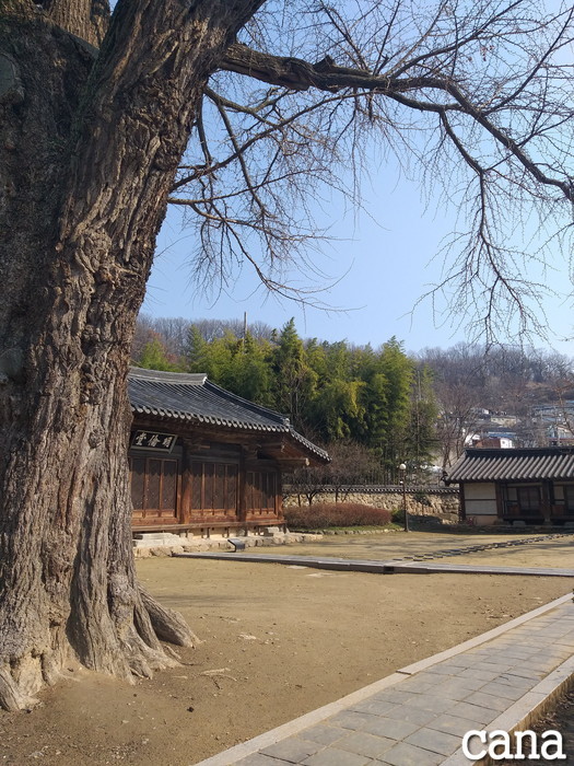 撮影地(8).jpg