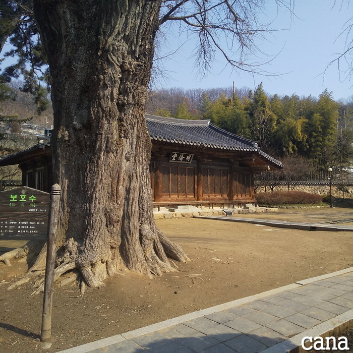 撮影地(9).jpg