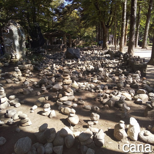 文化授業2(24).jpg
