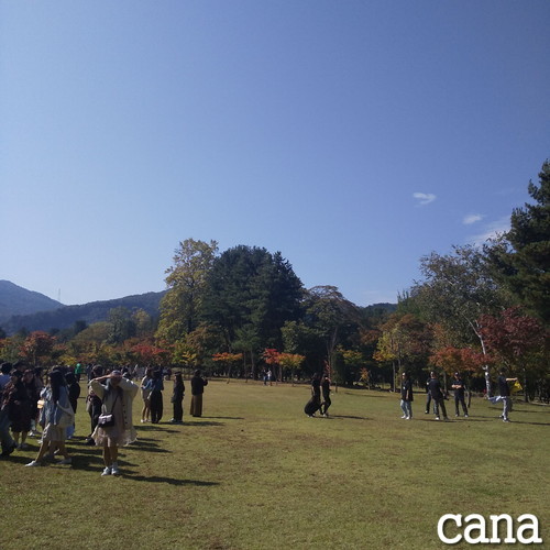 文化授業2(7).jpg