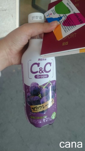 桃園空港にて (2).jpg