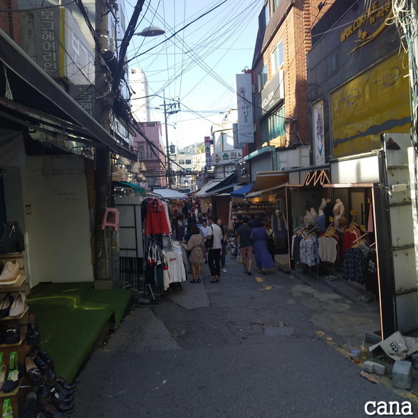 秋夕梨大(1).jpg
