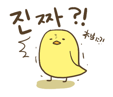 ぶたさんと韓国語49 진짜 チンチャ Honey Bunny Canaの韓国ブログ