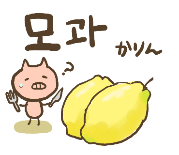 ぶたさんと韓国語210 모과 モグワ Honey Bunny Canaの韓国ブログ