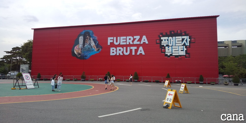 FUERZABRUTA(8).jpg